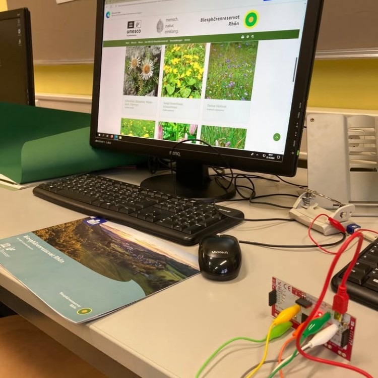 Computer-Bildschirm. Geöffnet ist eine Seite mit Bildern von verschiedenen Pflanzen.