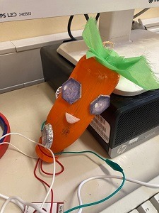 eine gebastelte Mohrrübe, an der Kabel befestigt sind